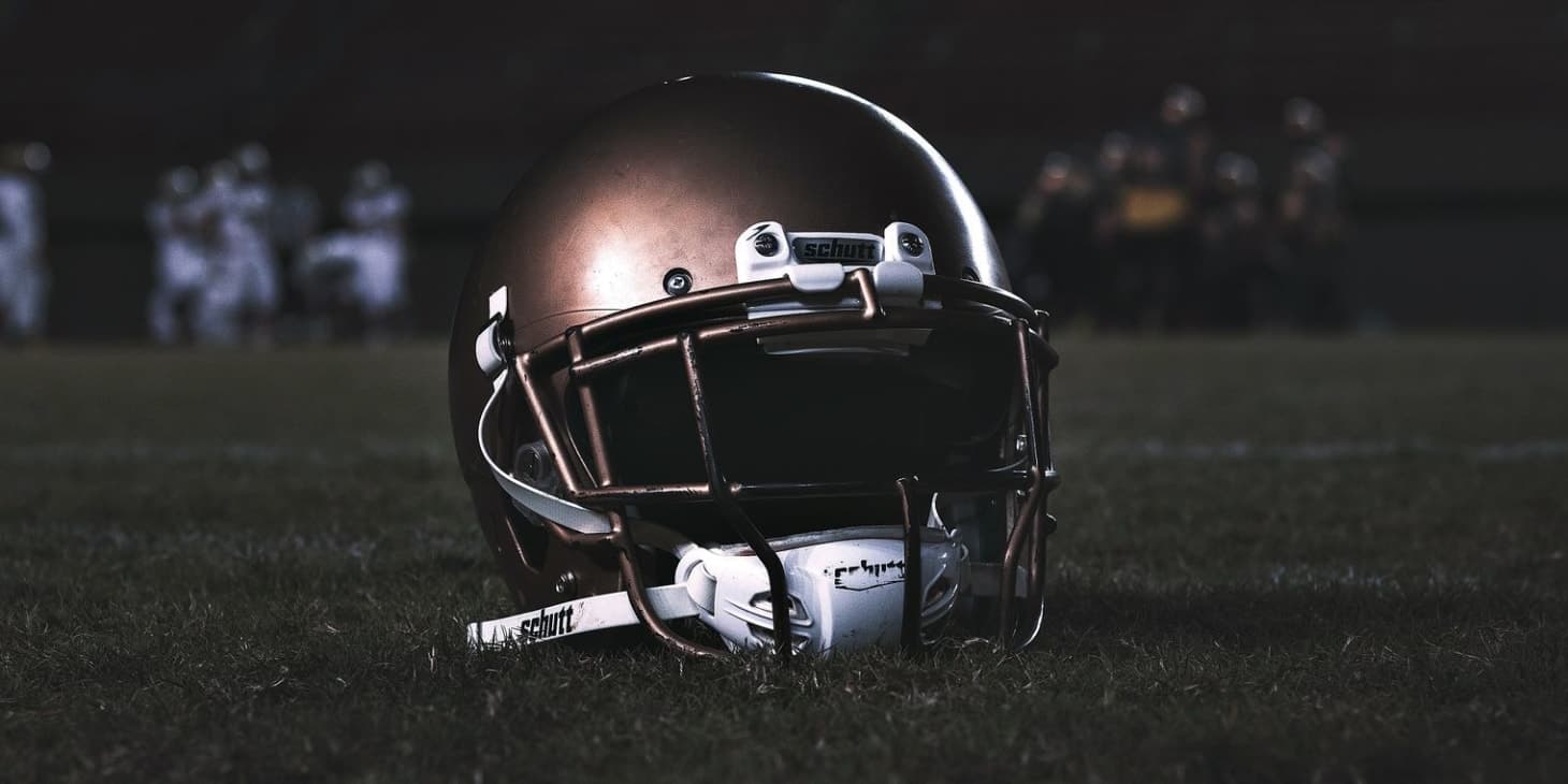 NFL Team by Team Guide: Minnesota Vikings